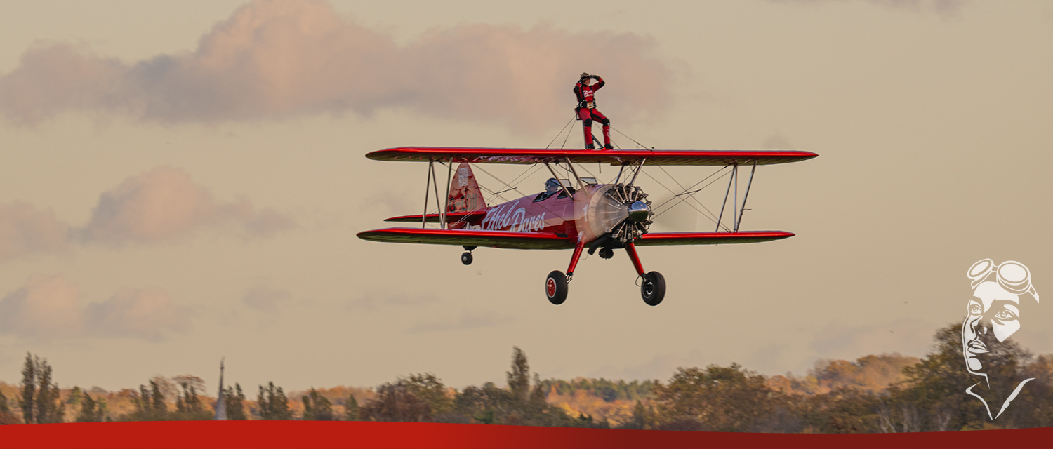 Wingwalk for Charity